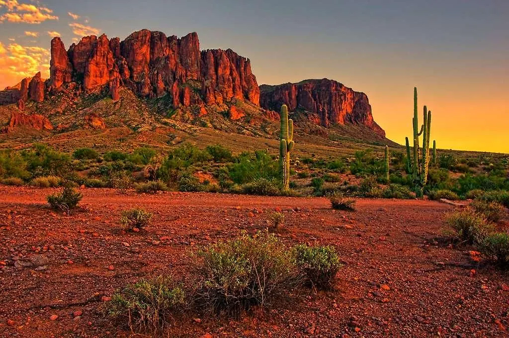 Hilton Garden Inn North Phoenix Scottsdale