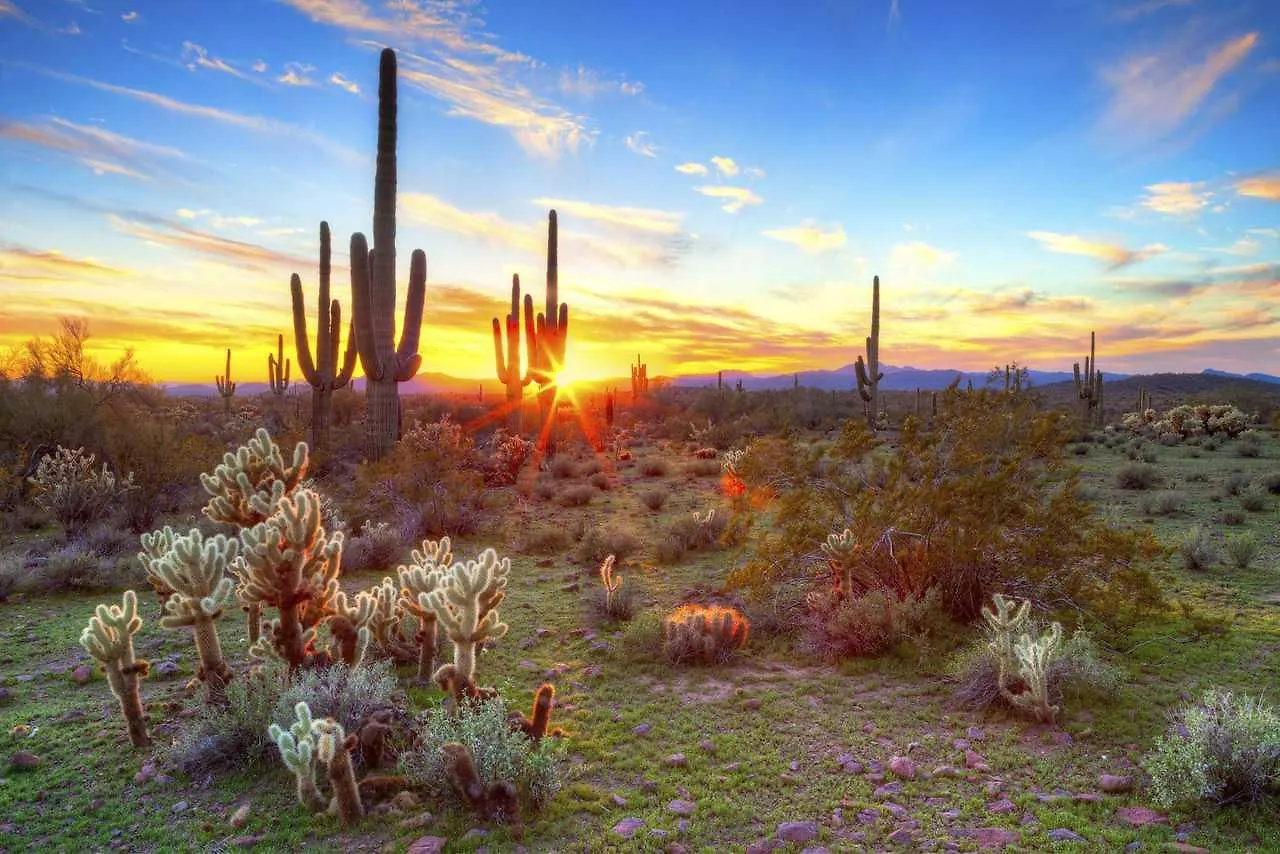 Hilton Garden Inn North Phoenix Scottsdale 4*,